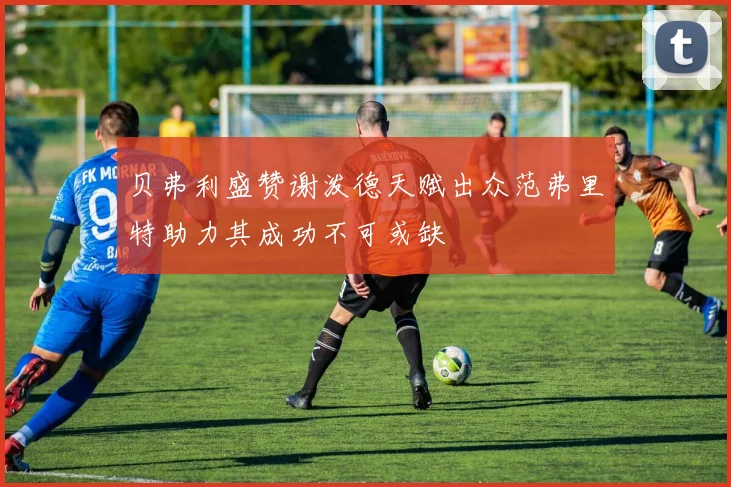 贝弗利盛赞谢泼德天赋出众范弗里特助力其成功不可或缺